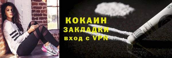 apvp Дмитриев