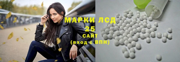 apvp Дмитриев