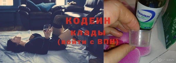 прущий лед Гусев